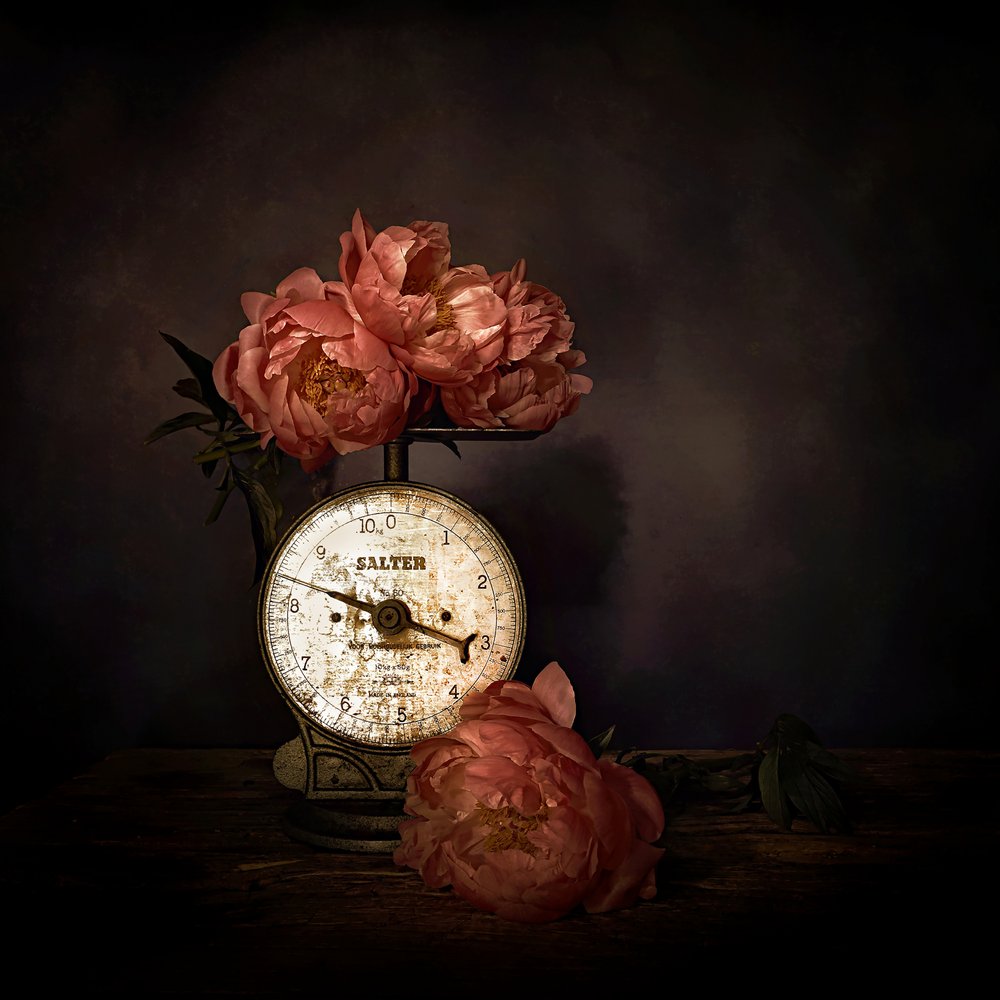 Peonías rosas a escala de Saskia Dingemans