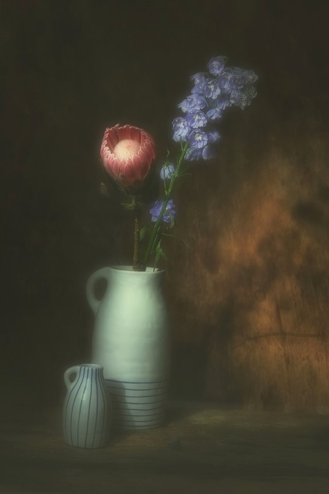 Naturaleza muerta floral con protea rosa de Saskia Dingemans