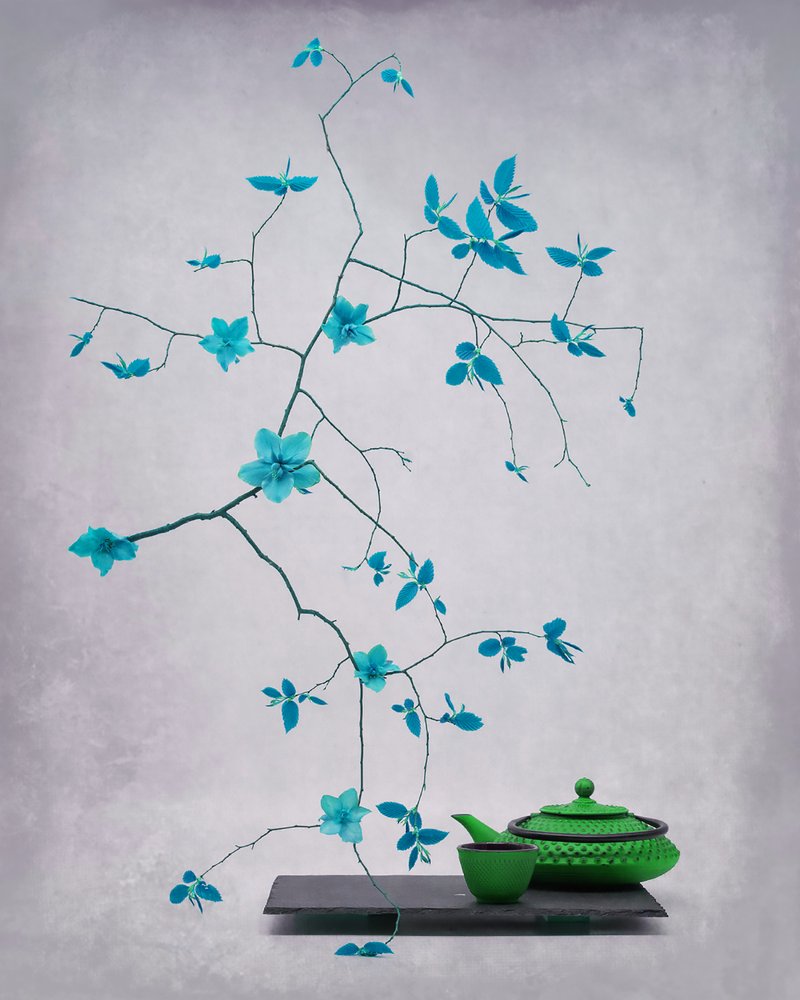 Juego de tazas de té «Serene Botanical» de Saskia Dingemans