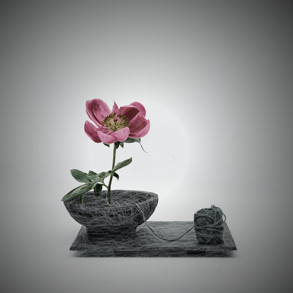 Escena de flores rosas bordada de Saskia Dingemans