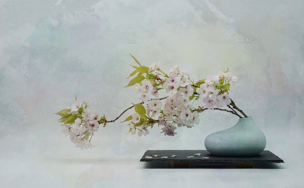 Naturaleza muerta «Zen Blossom» de Saskia Dingemans