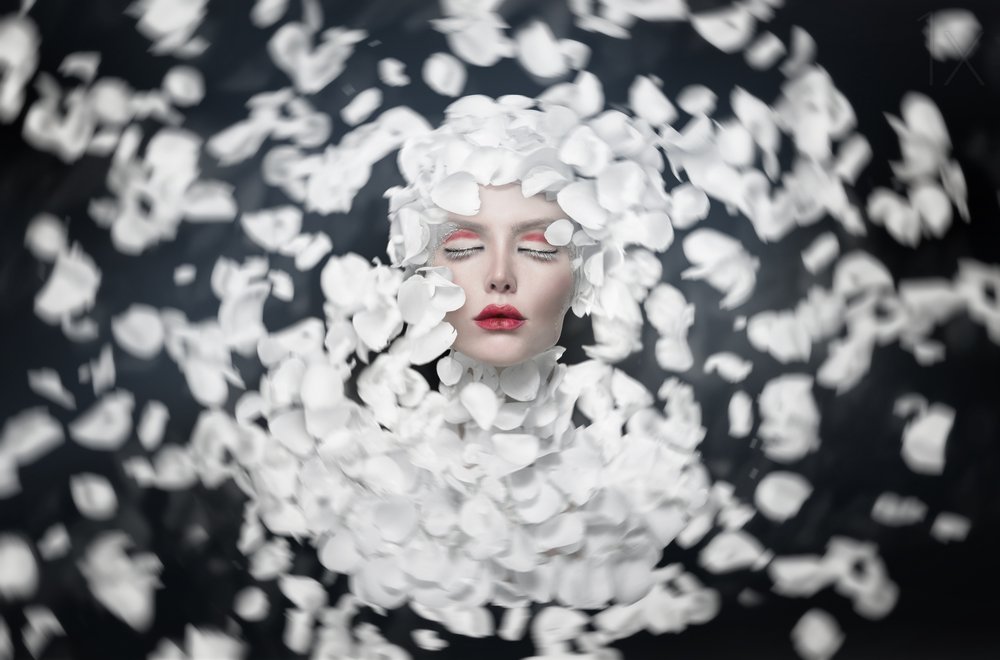 El sueño de los pétalos blancos de See Plus