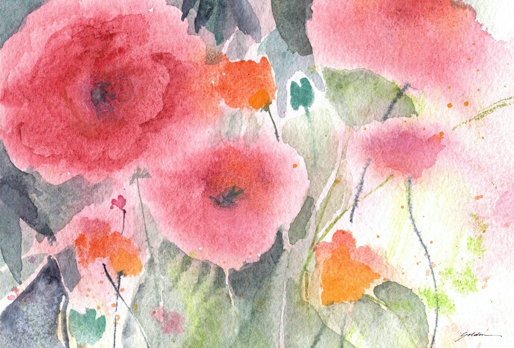 Amapolas en acuarela rosa de Sheila Golden