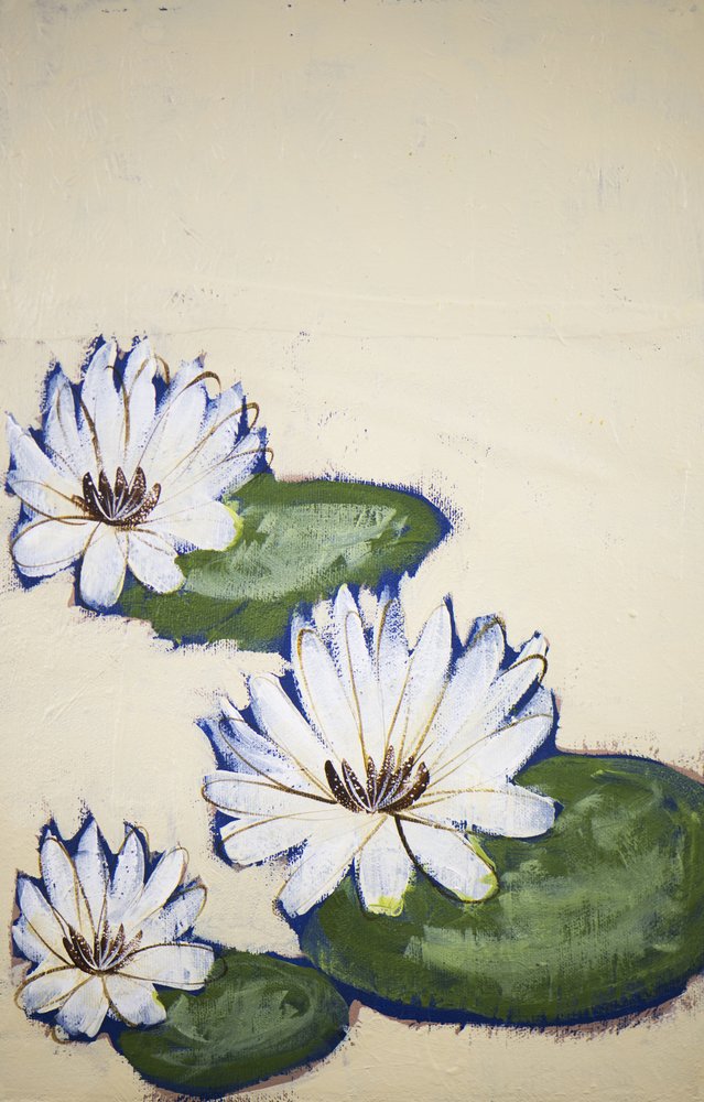 Nenúfares blancos de Shelley Hampe
