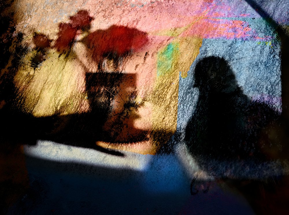 Sombras coloridas de pájaros de Shenshen Dou