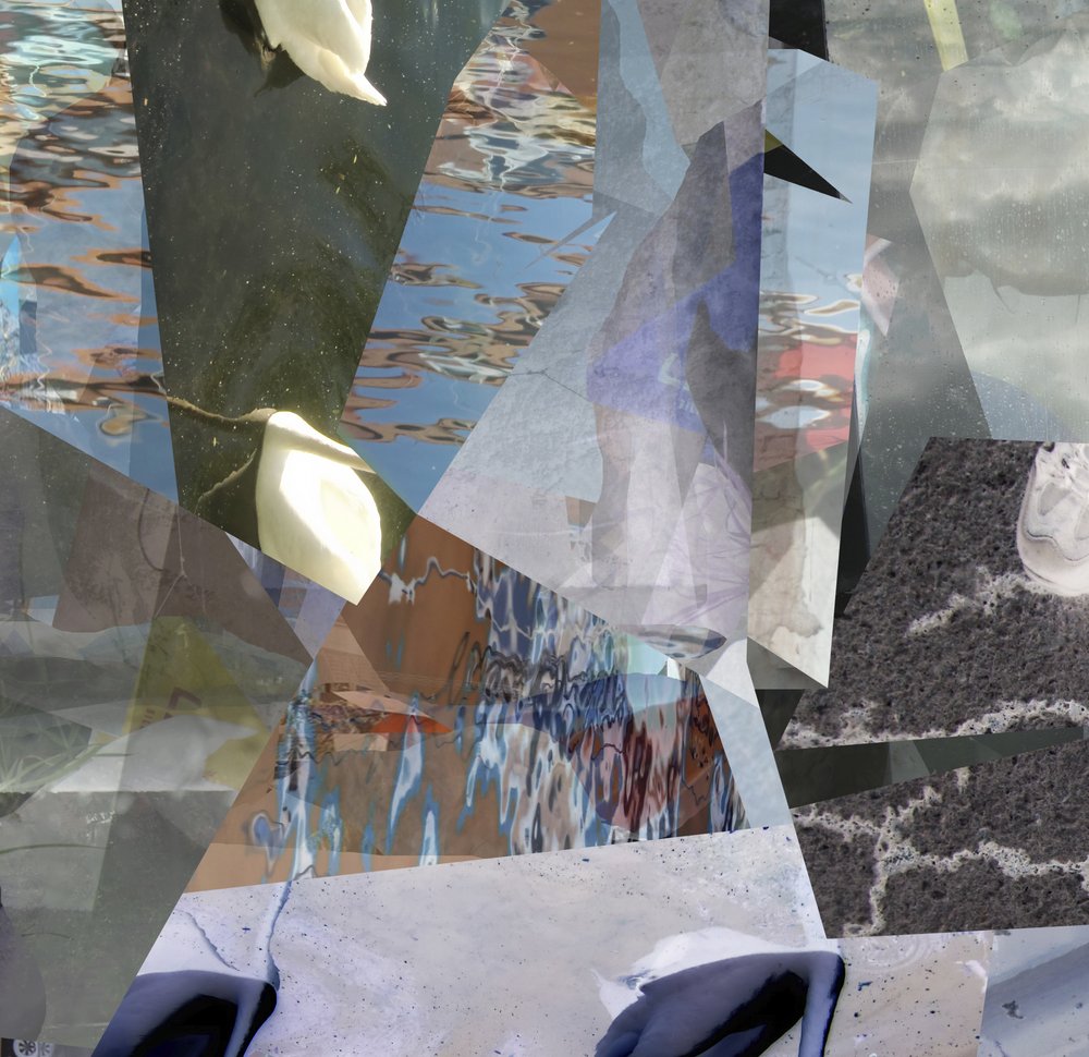Cisnes de agua fragmentados de Stefan Fransson