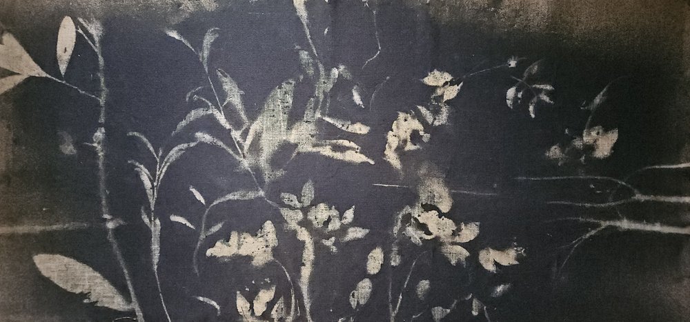 Floración del jardín de sombras de Stefano Mazzolini