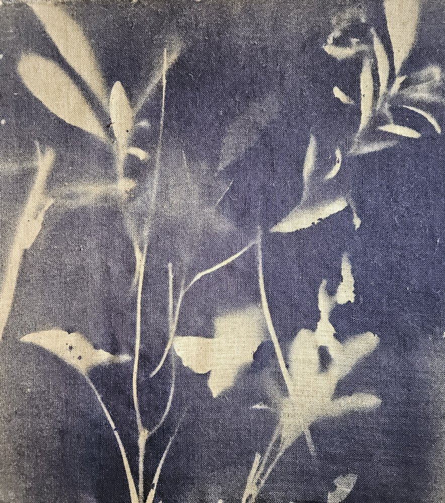 Azules botánicos vintage de Stefano Mazzolini