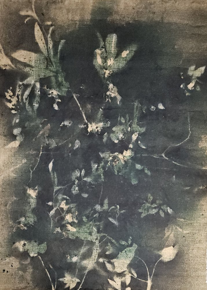 Sombras botánicas vintage de Stefano Mazzolini