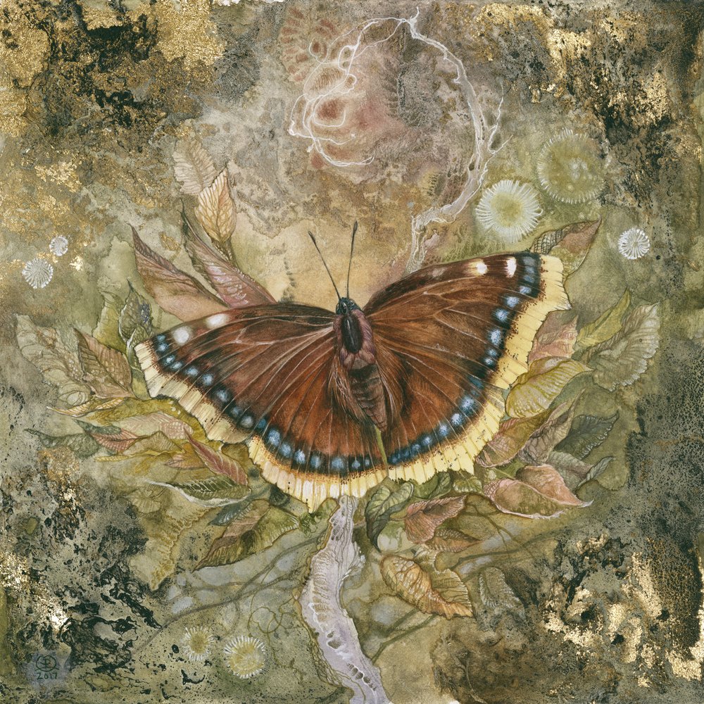  de Stephanie Law