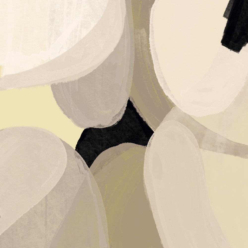  de Studio Palette