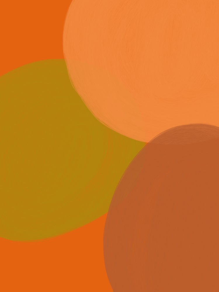 Círculos cálidos y terrosos de Studio Palette