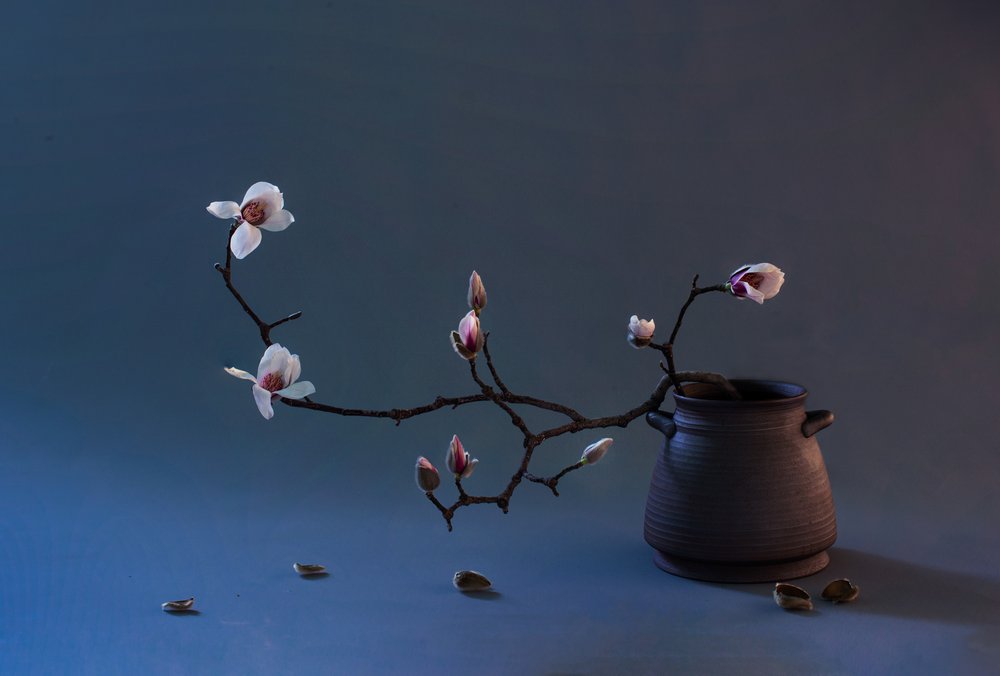 Flor de magnolia zen de Summer2016