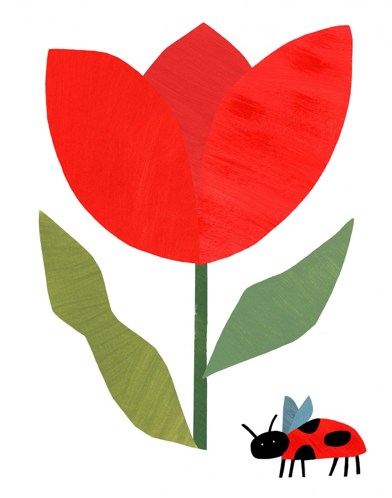 Tulipán rojo y mariquita de Susan Black