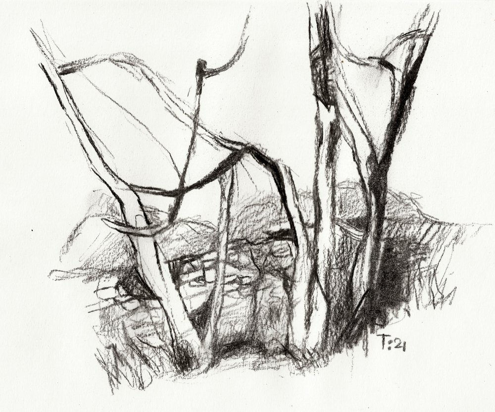 Boceto de un bosque desnudo de Tore Bahnson