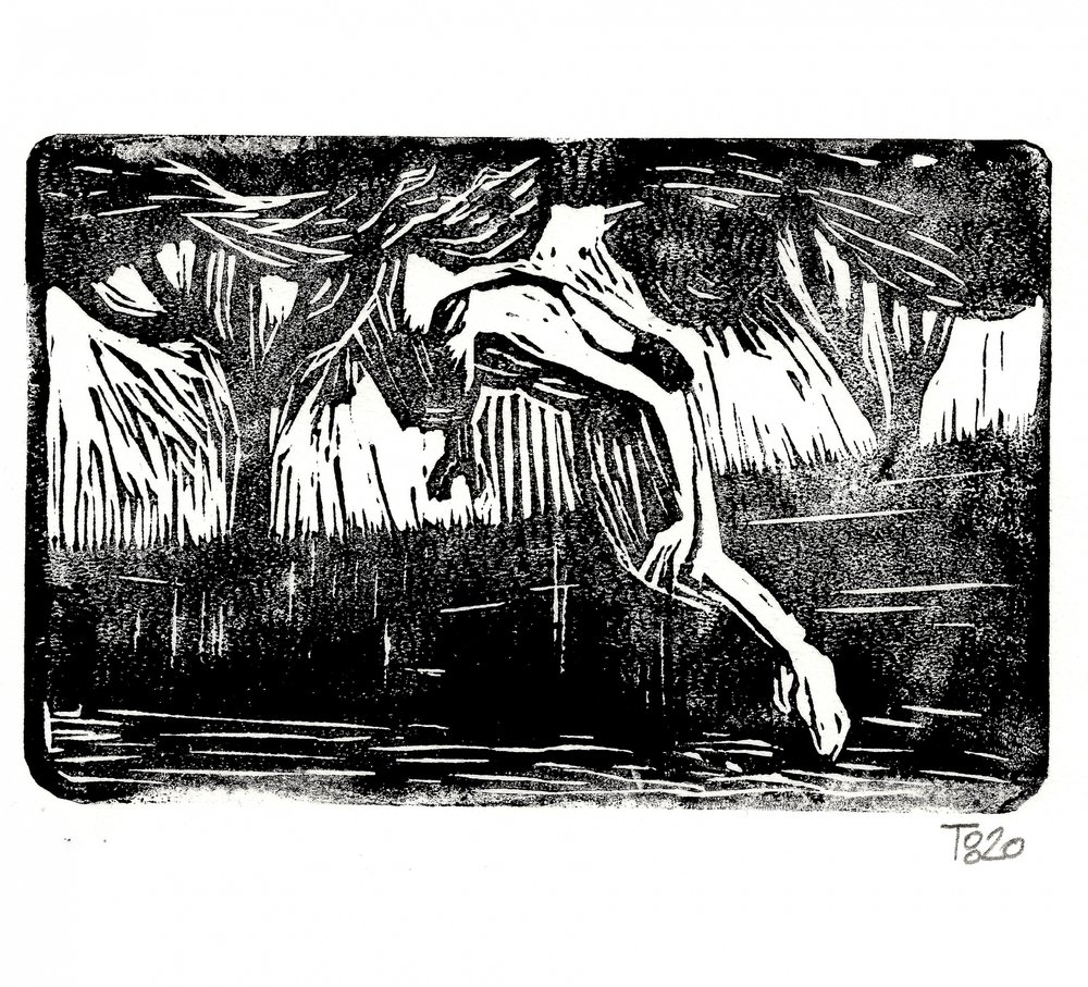 Caída en el bosque de Tore Bahnson