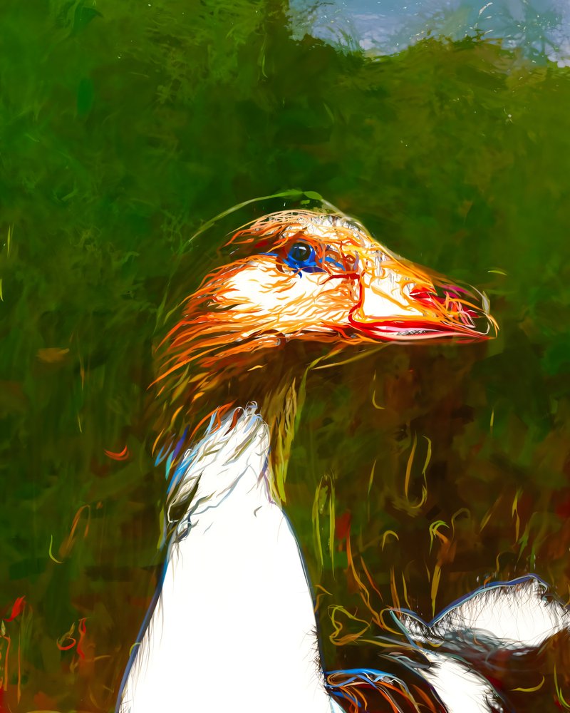 Retrato de un ganso lleno de vida de Uma Gokhale