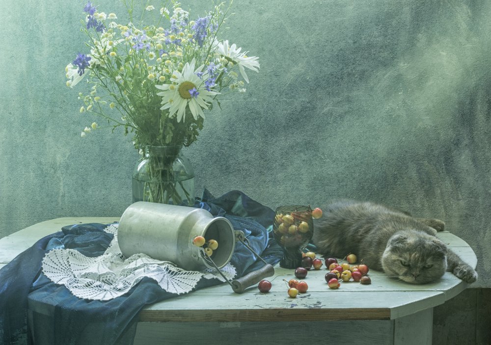El gato dormido y las cerezas de UstinaGreen
