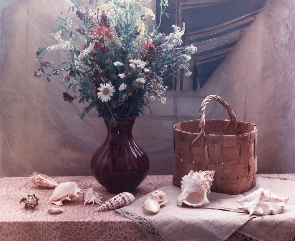 Naturaleza muerta con flores silvestres y conchas marinas de UstinaGreen