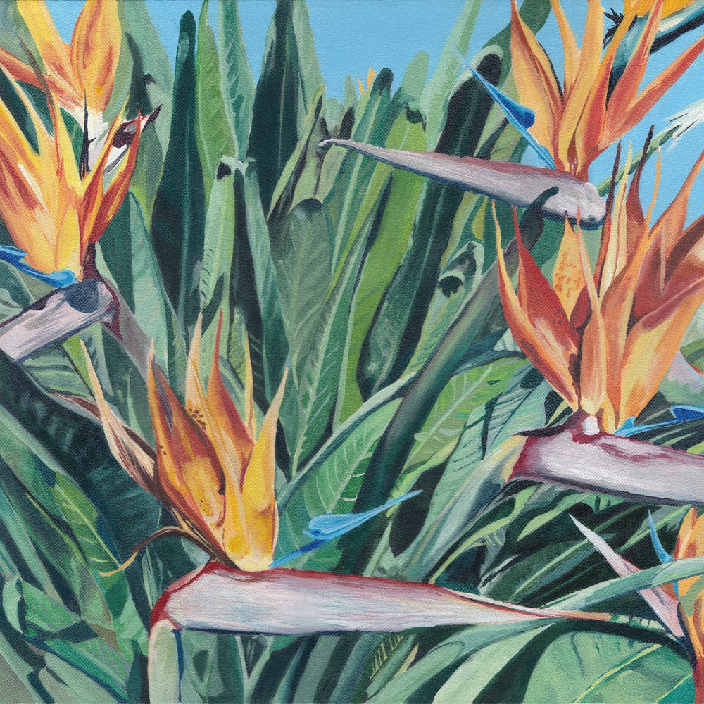Flor de ave del paraíso de Viccy Wanliss