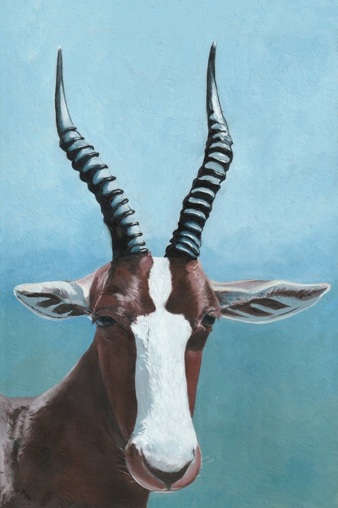 La mirada del antílope blesbok de Viccy Wanliss