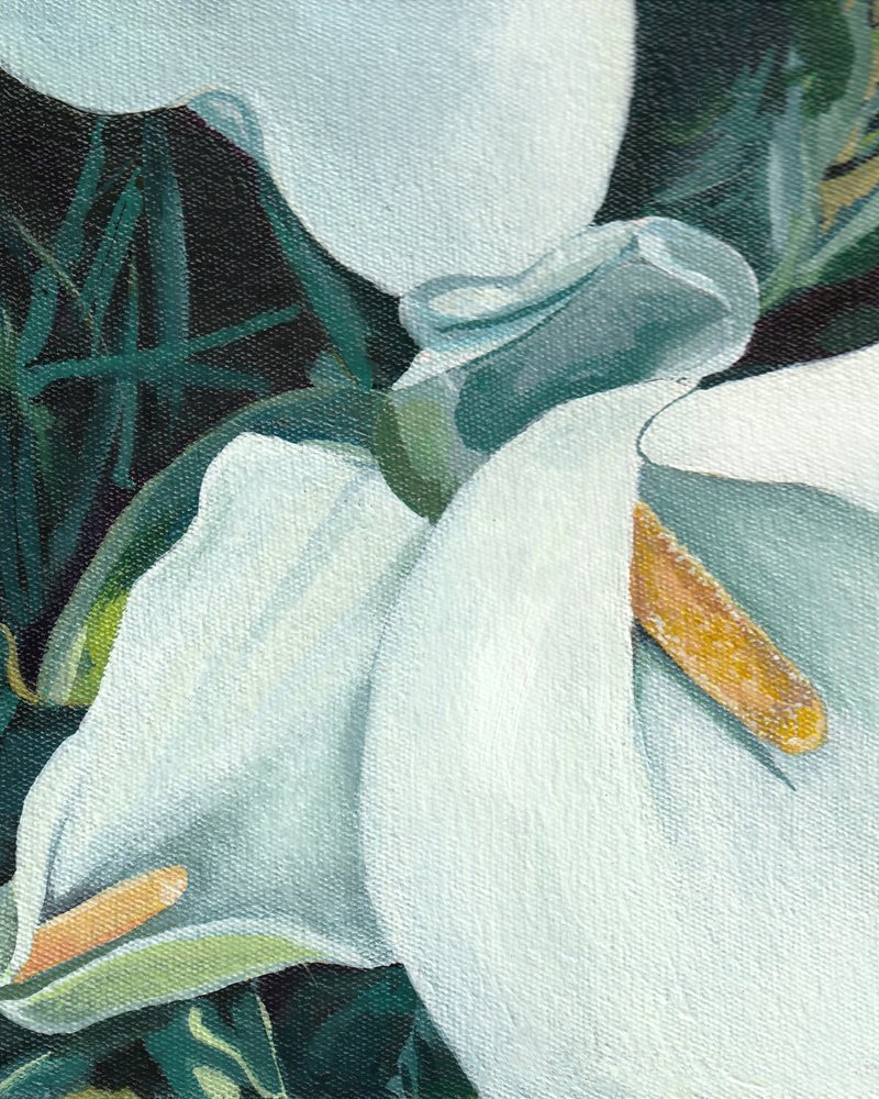 Elegantes calas de Viccy Wanliss