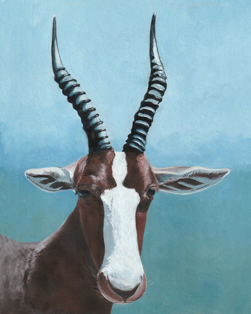 Mirada de un blesbok pintado de Viccy Wanliss