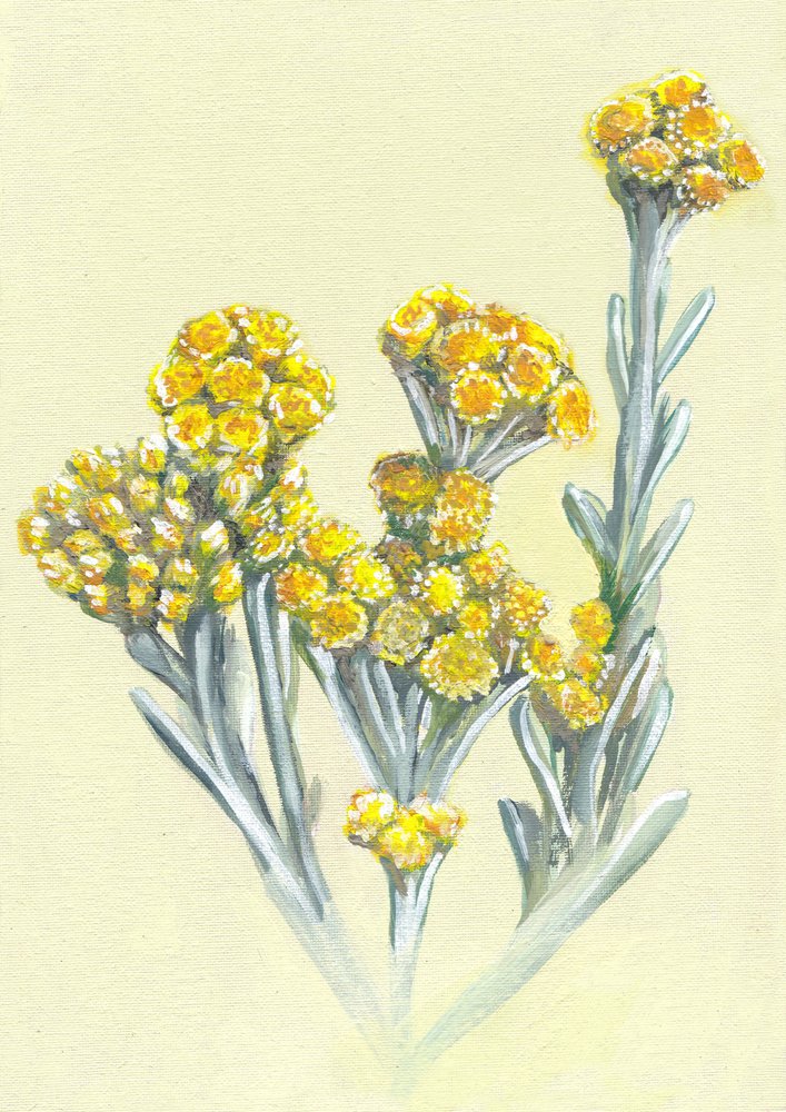  de Viccy Wanliss