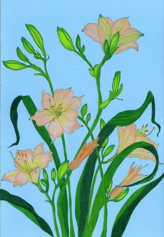 Suaves flores color melocotón de Viktoriia Saunina