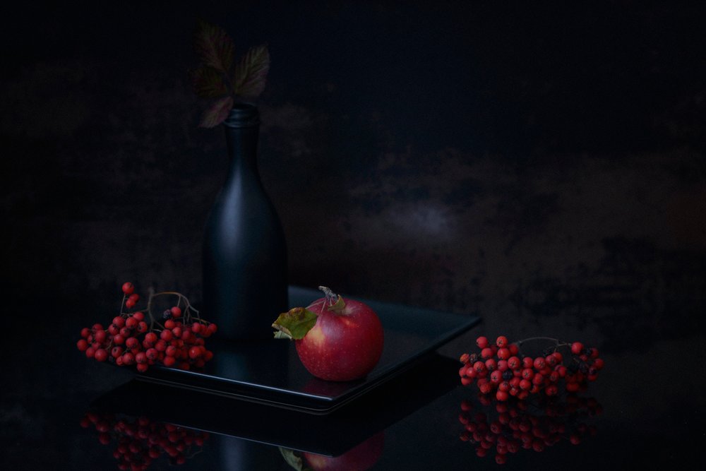 Naturaleza muerta de otoño oscuro de Vladimir Pavlovskyy