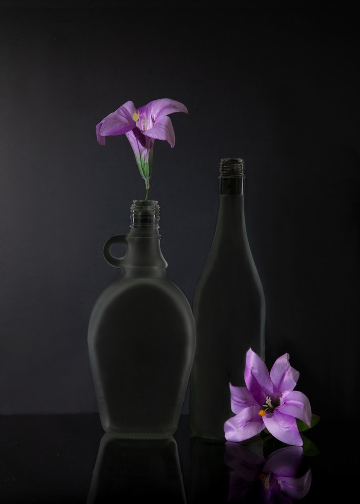  de Wendy Xu