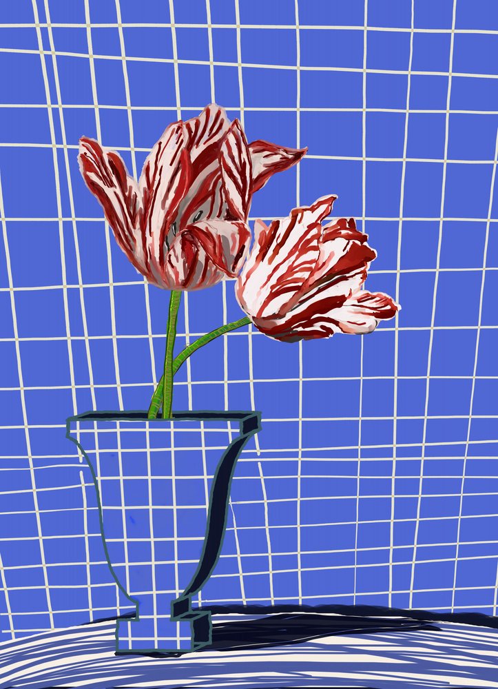 Tulipanes rojos, cuadrícula azul de XHOZUCAN