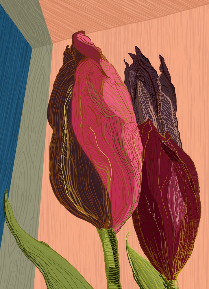 Tulipanes modernos y llenos de color de XHOZUCAN
