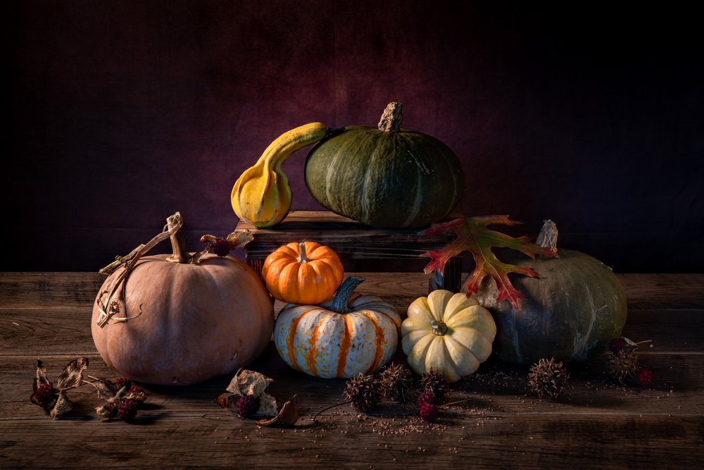 Calabazas de la cosecha de otoño de Xiaoyuan Xu