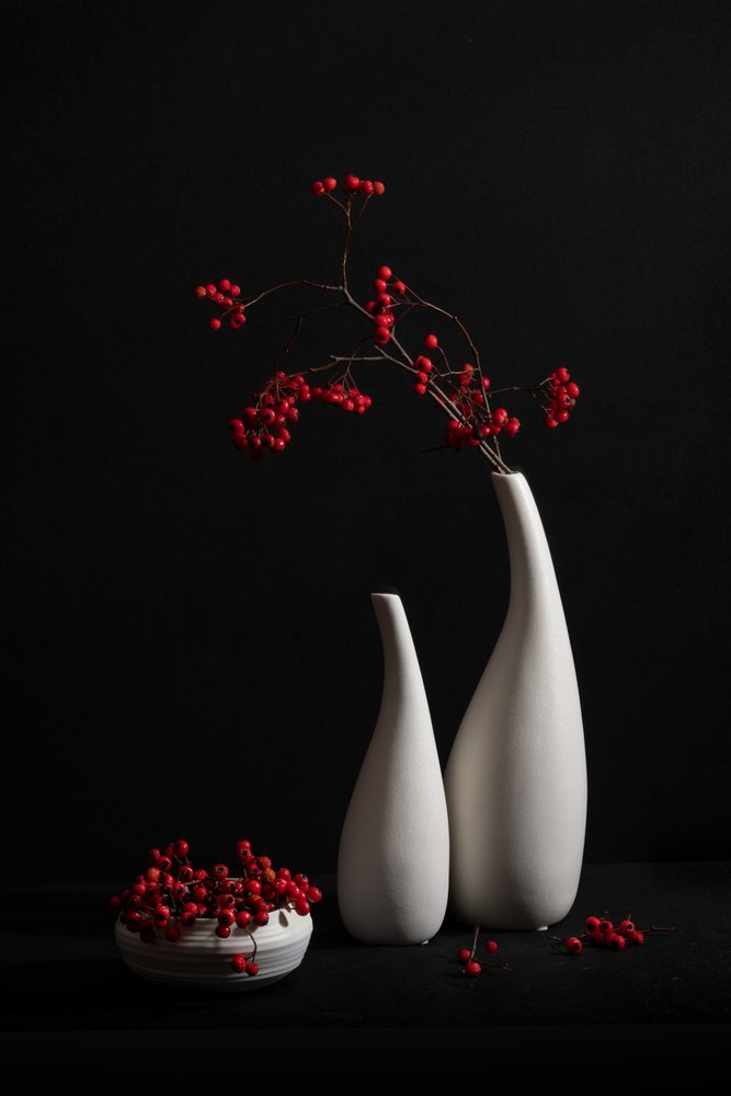Elegante bodegón de bayas de Xiaoyuan Xu