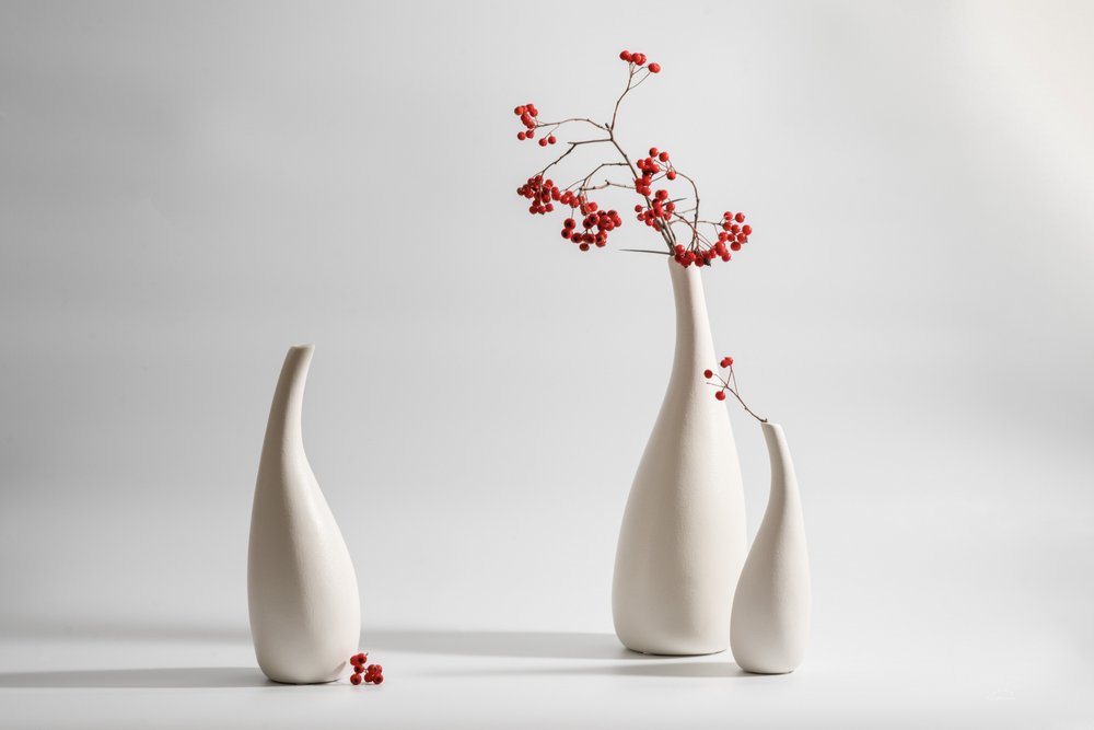 Jarrones elegantes con bayas rojas de Xiaoyuan Xu