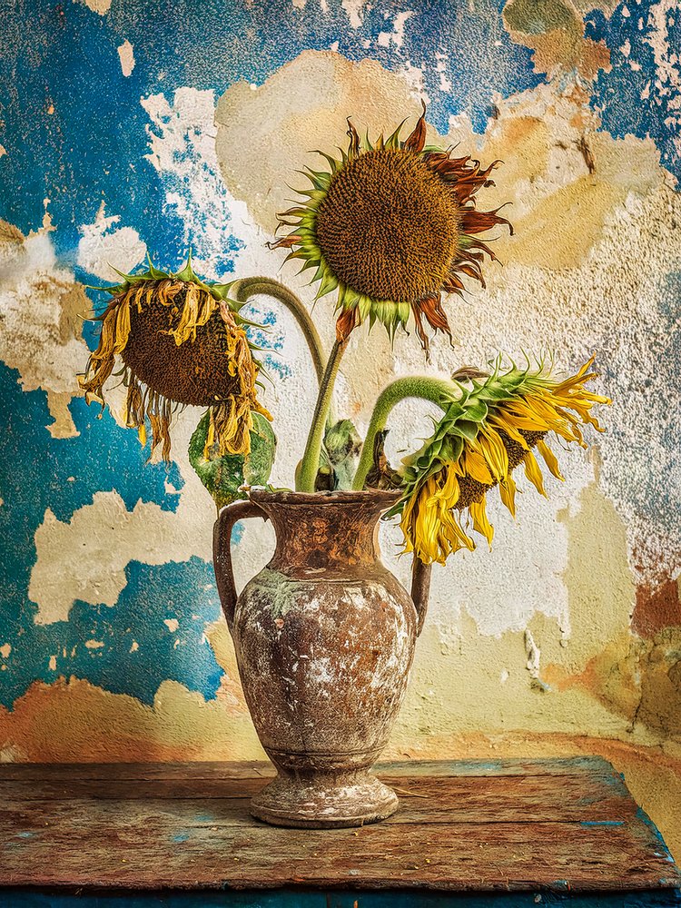 Bodegón con girasoles marchitos de Yasutaka Sameshima