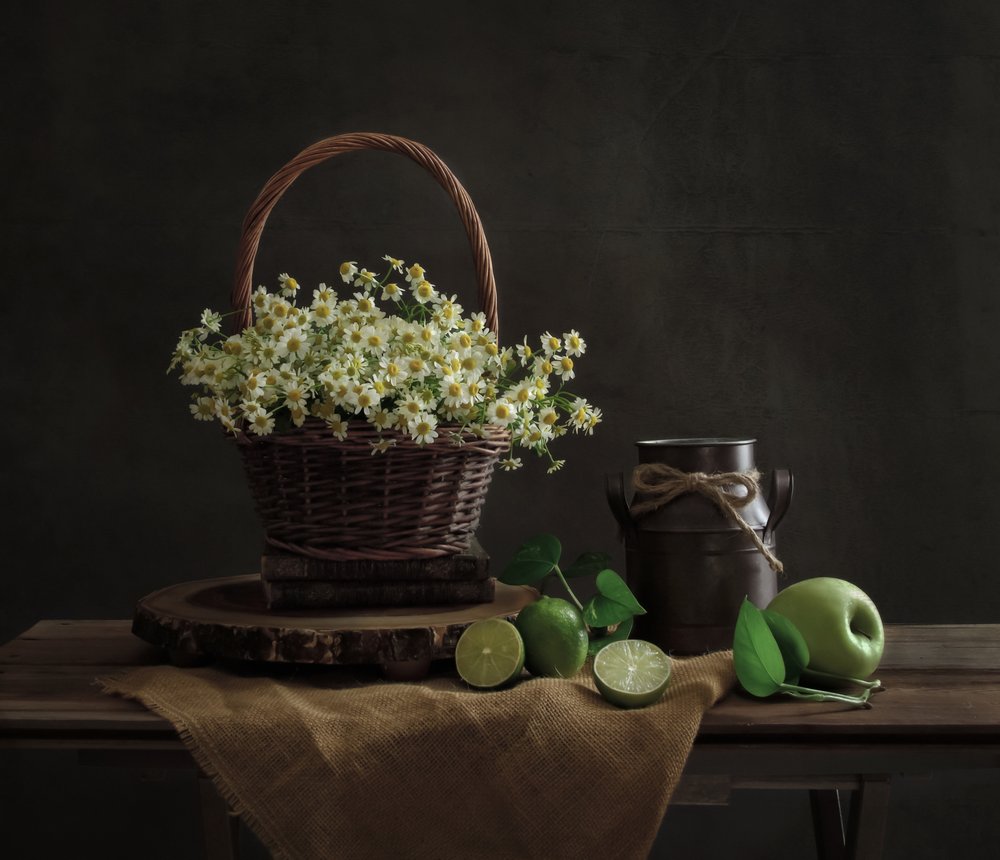 Naturaleza muerta con margaritas rústicas de Yinan F.