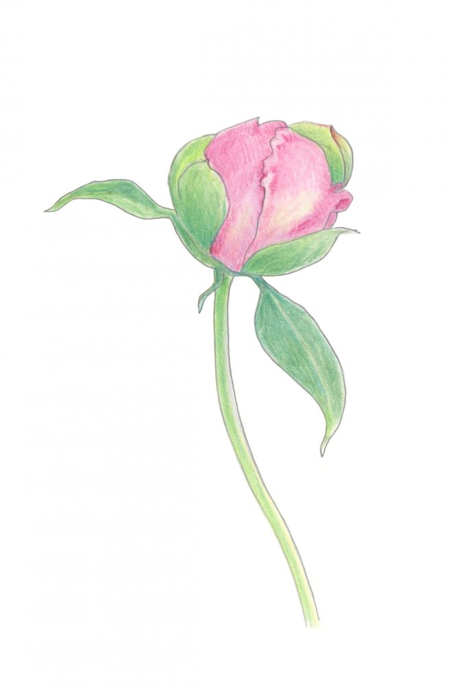  de Yvonne Gustafsson