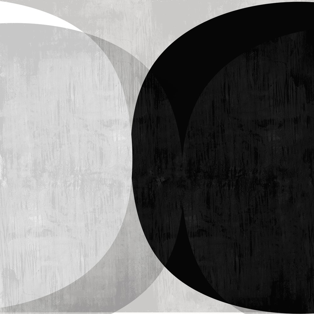 Curvas abstractas en blanco y negro de cartissi