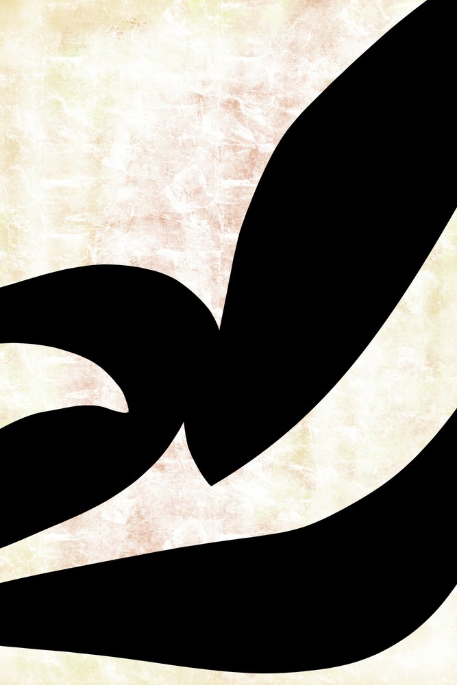 Curvas caligráficas abstractas de cartissi