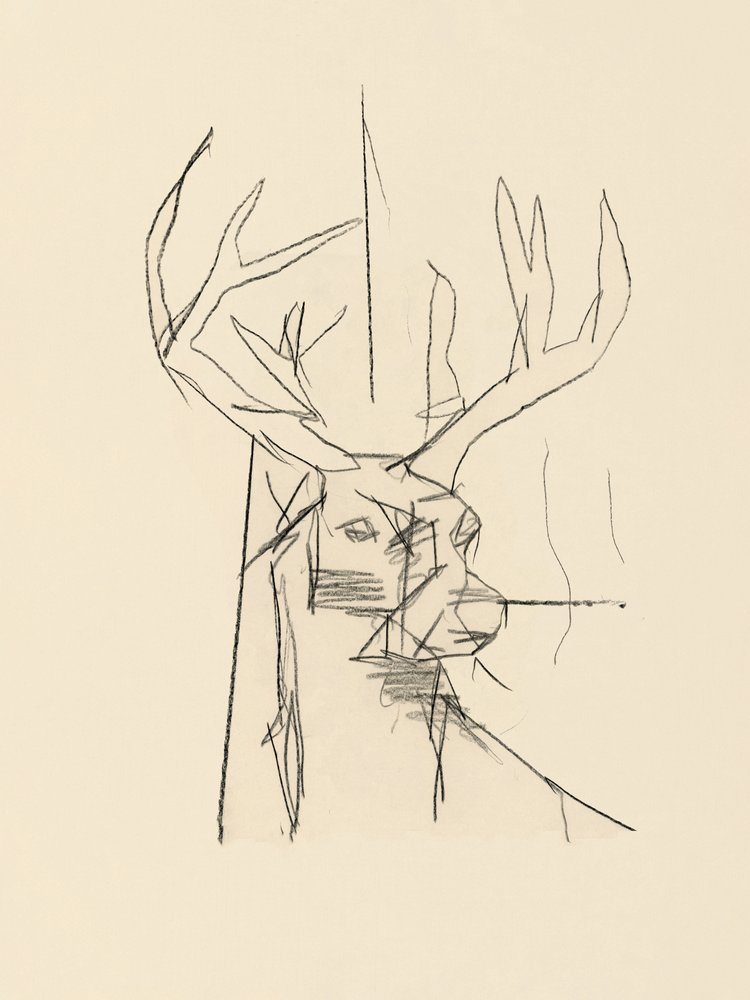 Boceto abstracto de un ciervo de cartissi