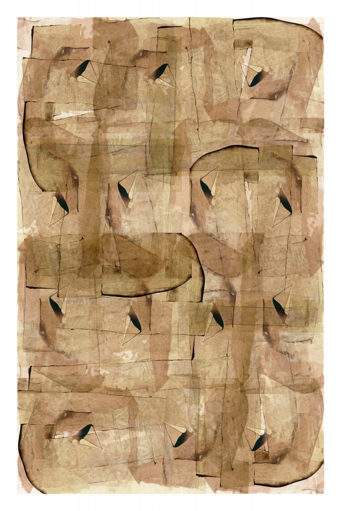 Tonos tierra abstractos de cartissi