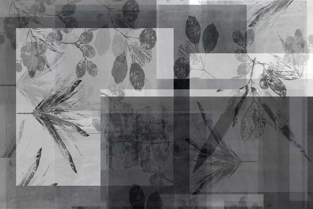 Follaje gris abstracto de cartissi