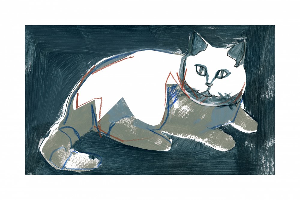 Gato blanco artístico de cartissi