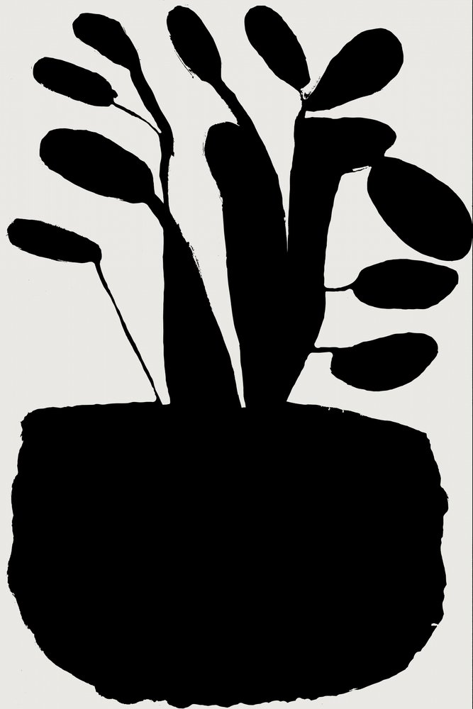 Silueta botánica en negro de cartissi