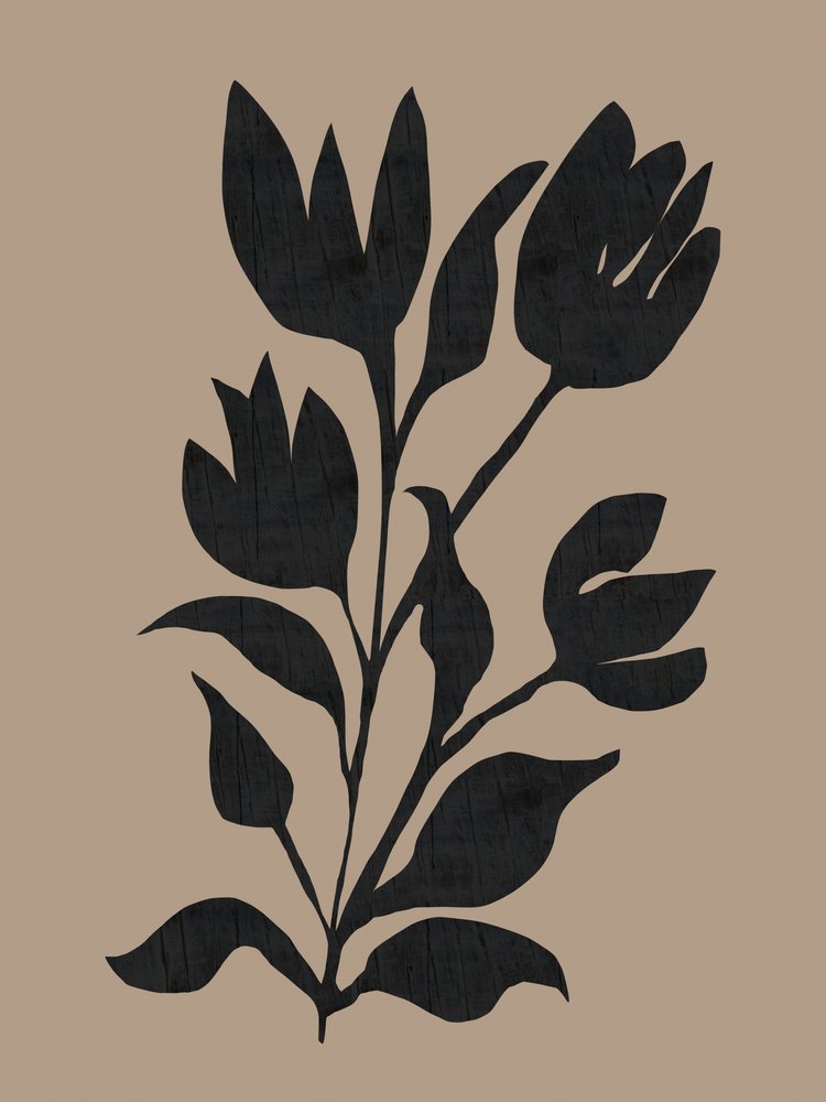 Silueta botánica negra de cartissi