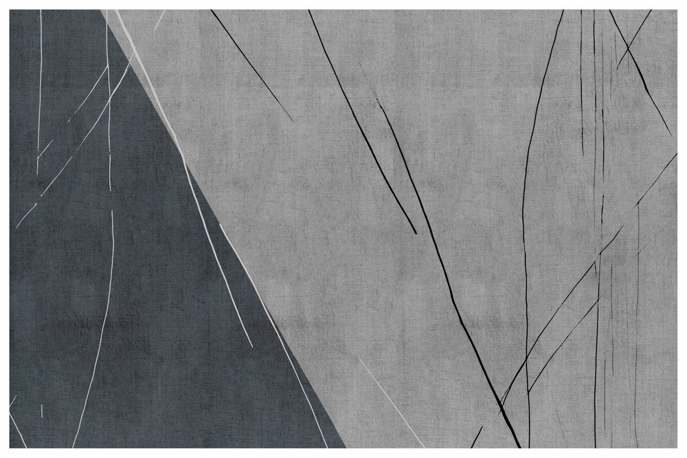 Líneas abstractas en gris frío de cartissi