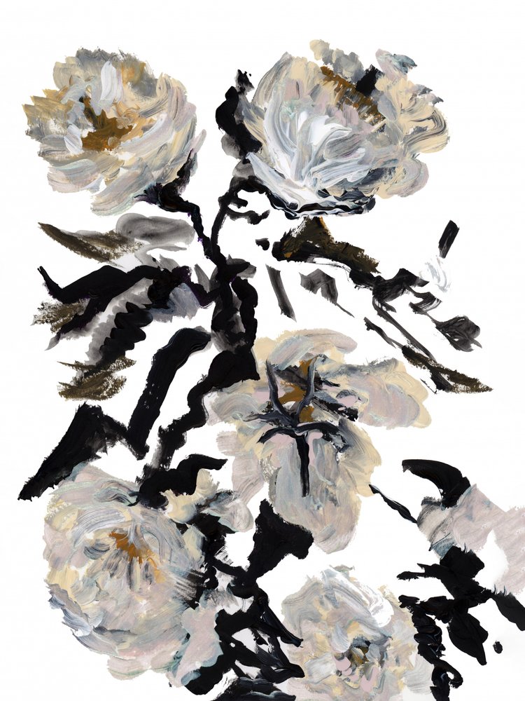 Abstracto floral espectacular de cartissi
