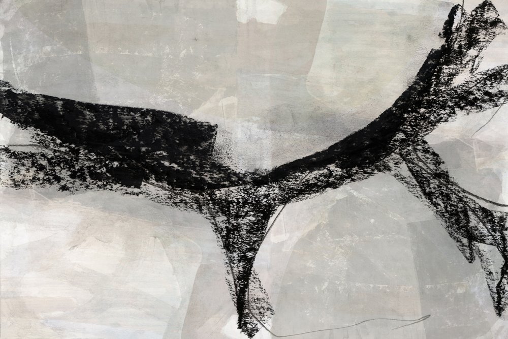 Forma abstracta dinámica de cartissi